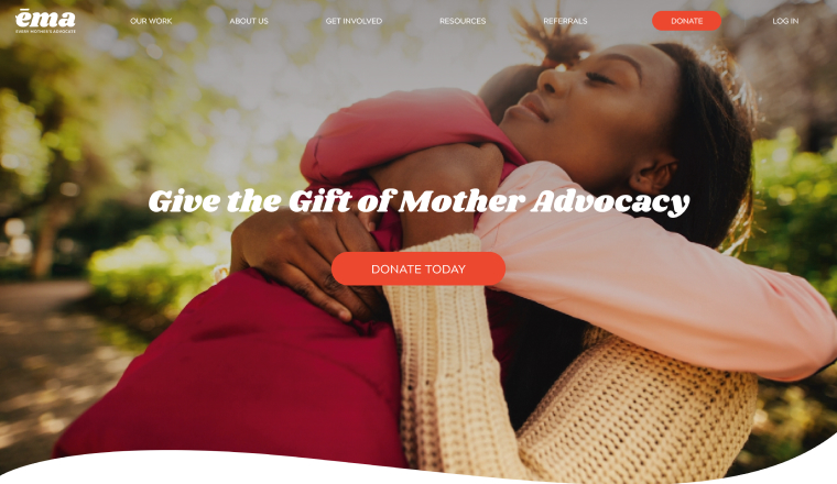 Image for Custom WordPress Theme Development - Every Mother's Advocate