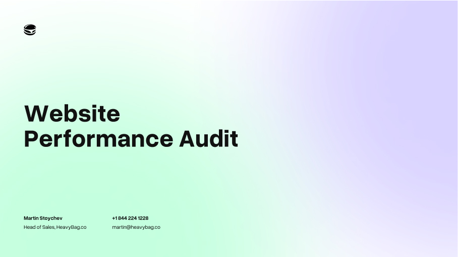 Website Performance Audit Screenshot