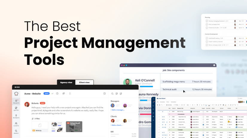 website project management software