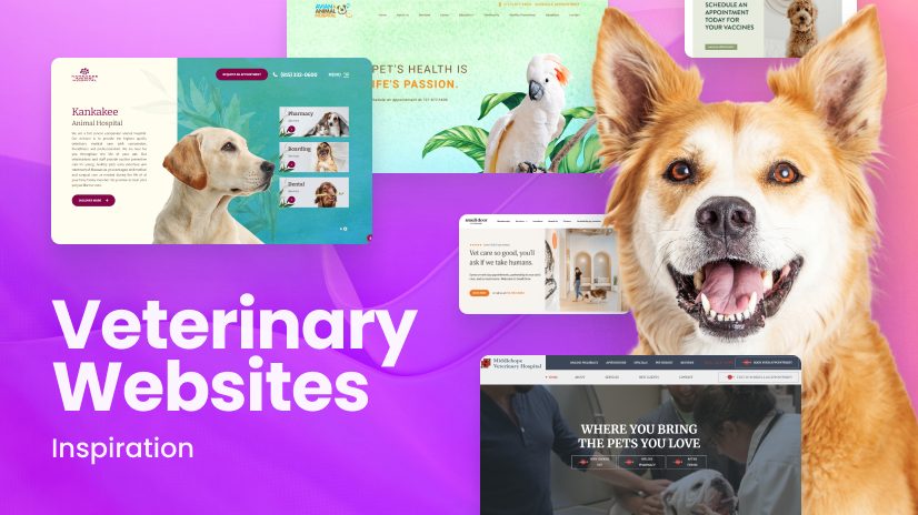 Fashion pet health websites