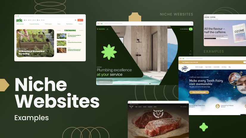 Niche Products Examples